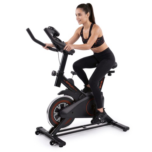 Yasyas indoor exercise - indoor, bike